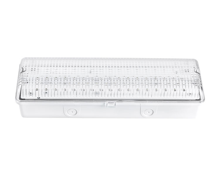 LE502L IP65 50 লেড ওয়াটারপ্রুফ জরুরী আলো
