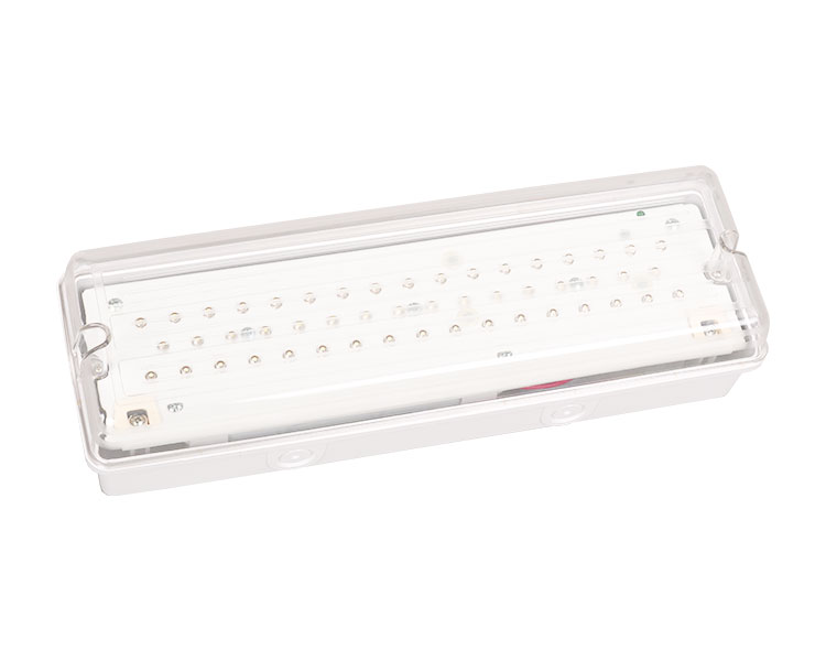 LE502L IP65 50 লেড ওয়াটারপ্রুফ জরুরী আলো