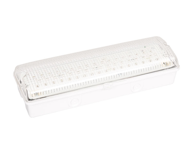LE502L IP65 50 লেড ওয়াটারপ্রুফ জরুরী আলো