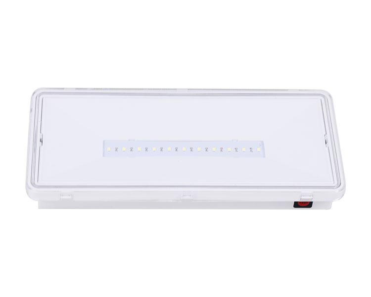 LE515-11 11 লেড ওয়াটারপ্রুফ লুমিনায়ারস-আইপি 65