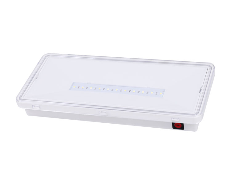 LE515-11 11 লেড ওয়াটারপ্রুফ লুমিনায়ারস-আইপি 65
