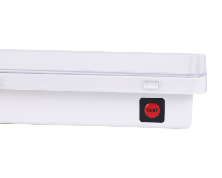 LE515-11 11 লেড ওয়াটারপ্রুফ লুমিনায়ারস-আইপি 65