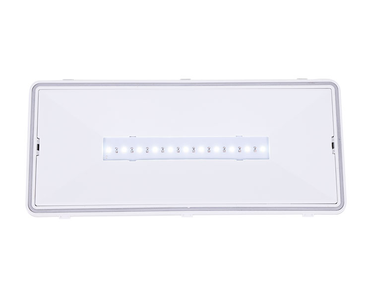 LE515-11 11 লেড ওয়াটারপ্রুফ লুমিনায়ারস-আইপি 65