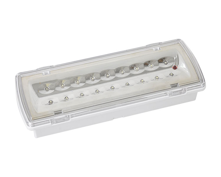 LE507L-18 LED জলরোধী জরুরী আলো